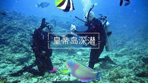 4399灭神
