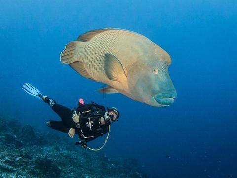 海底世界填颜色4